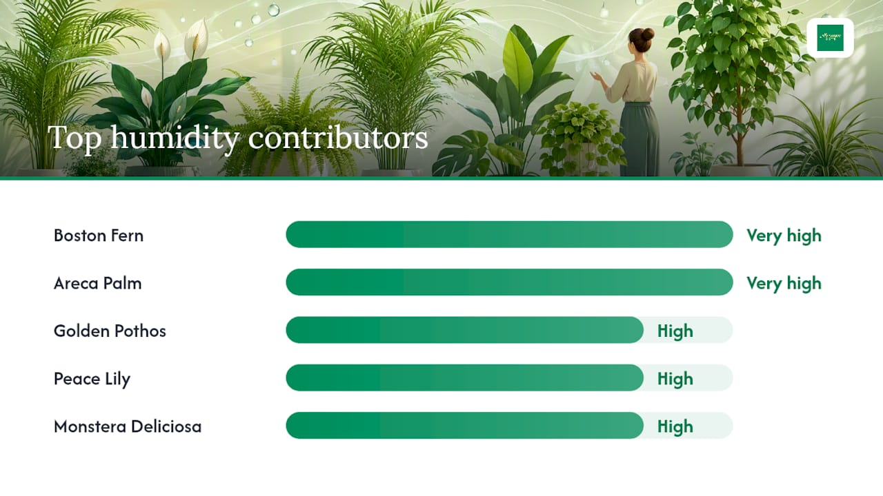 Chart ranking houseplants by humidity contribution and ease of care