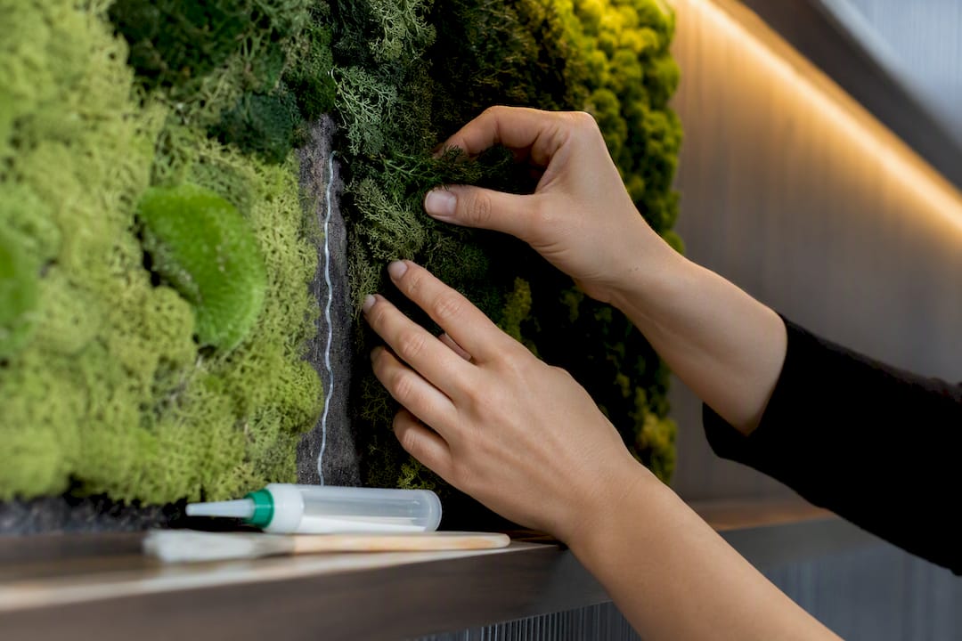 Repairing loosened moss on backing substrate