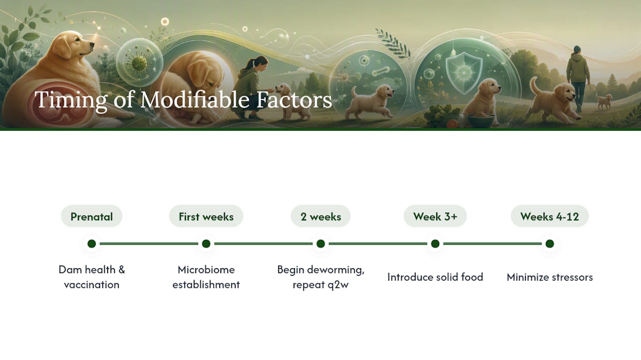 Factors you can influence — overview diagram
