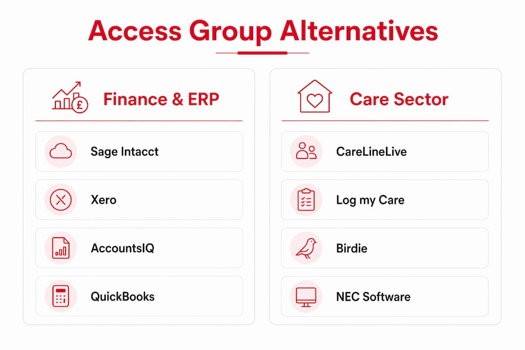 Infographic showing Access Group alternatives categories