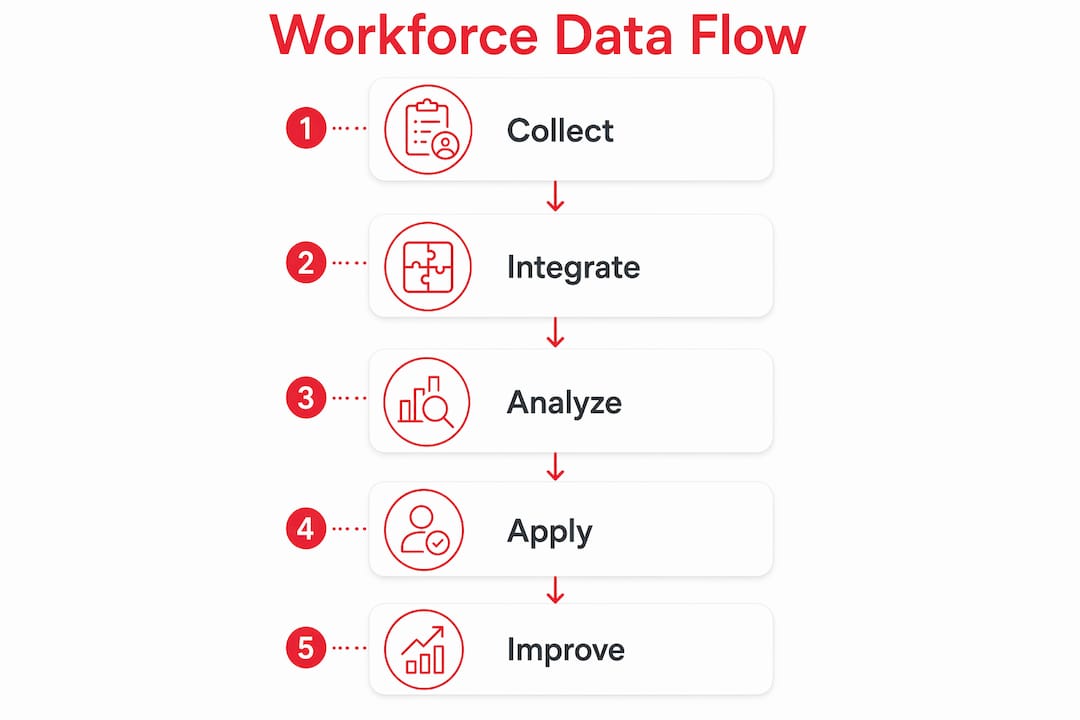 Infographic showing workforce data process steps