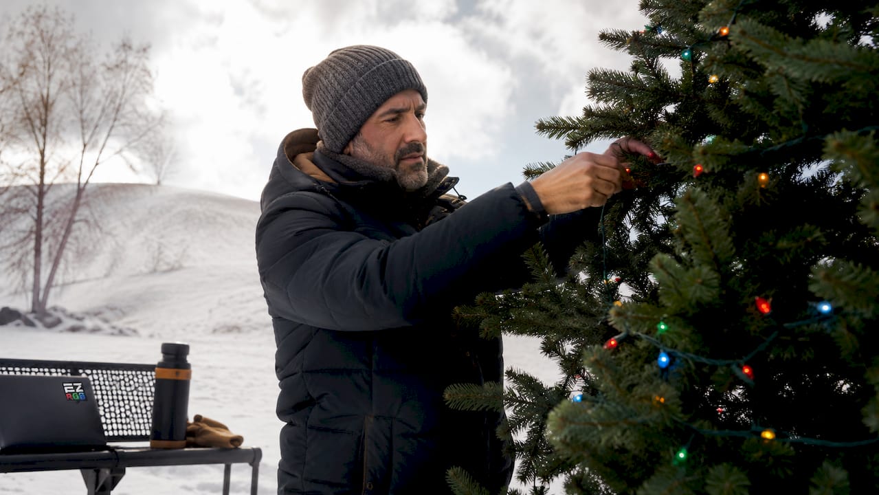 Man installing holiday lights on yard bush
