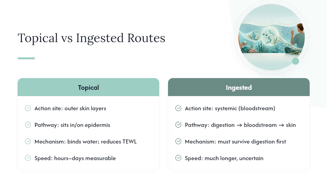 Topical versus ingested marine ingredient pathways