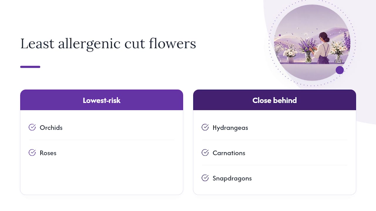 Diagram comparing allergenic risk of popular cut flowers