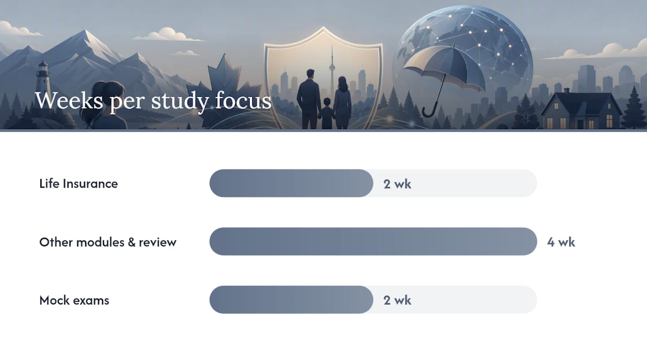 A practical 6–8 week study plan — overview diagram