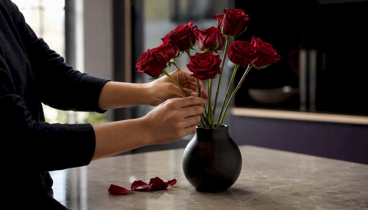 Hands arranging thornless rose stems in vase