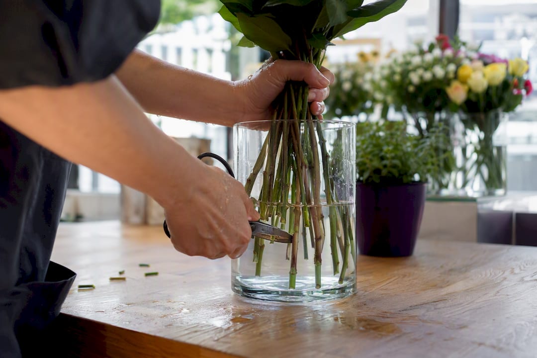 Hands trimming flower stems under water in vase