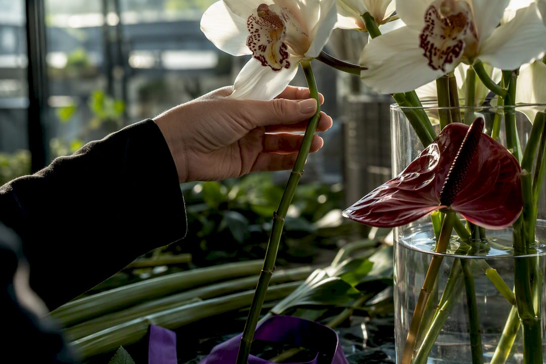 Orchid and anthurium stems checked for freshness