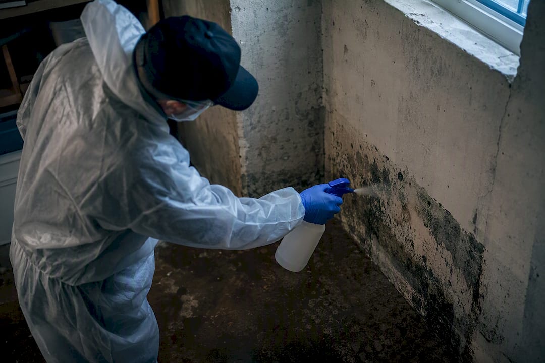 Close-up of mold remediation spray application indoors