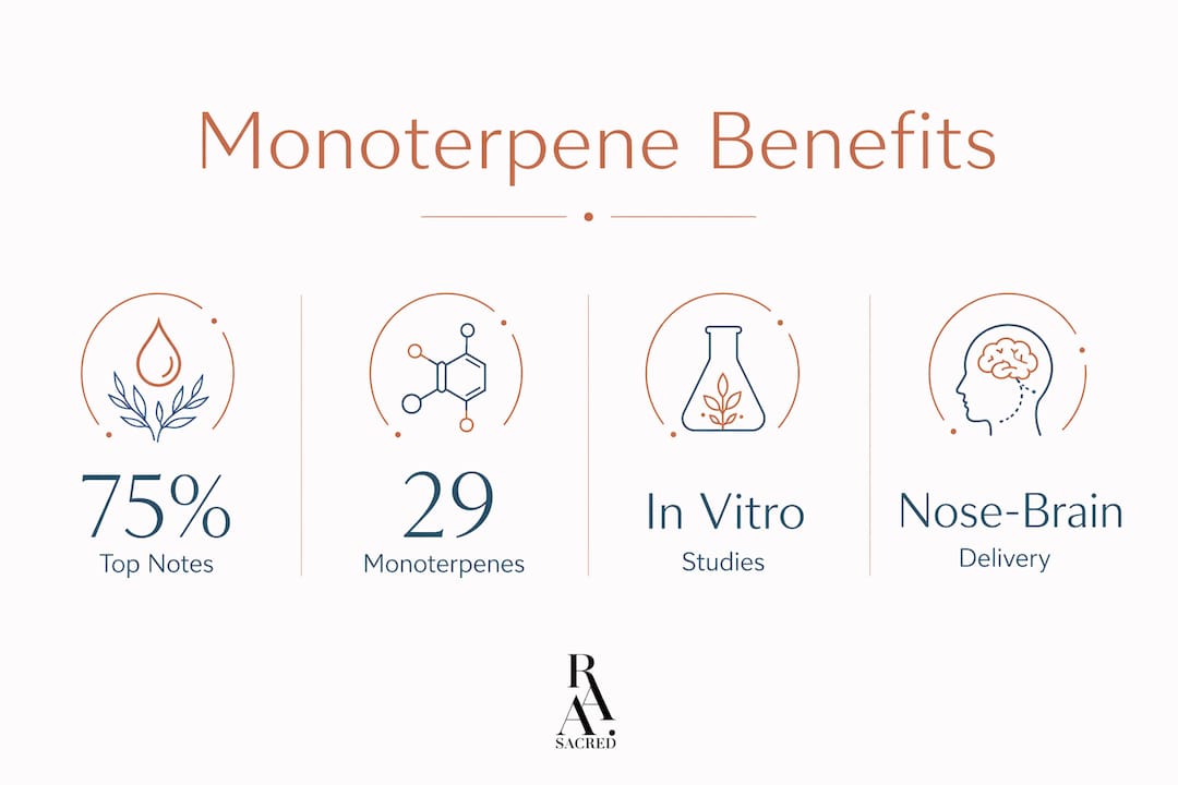 Infographic highlighting key monoterpene benefits