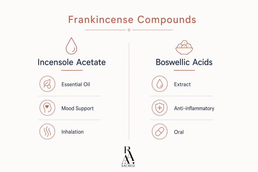 Infographic comparing two main frankincense compound groups