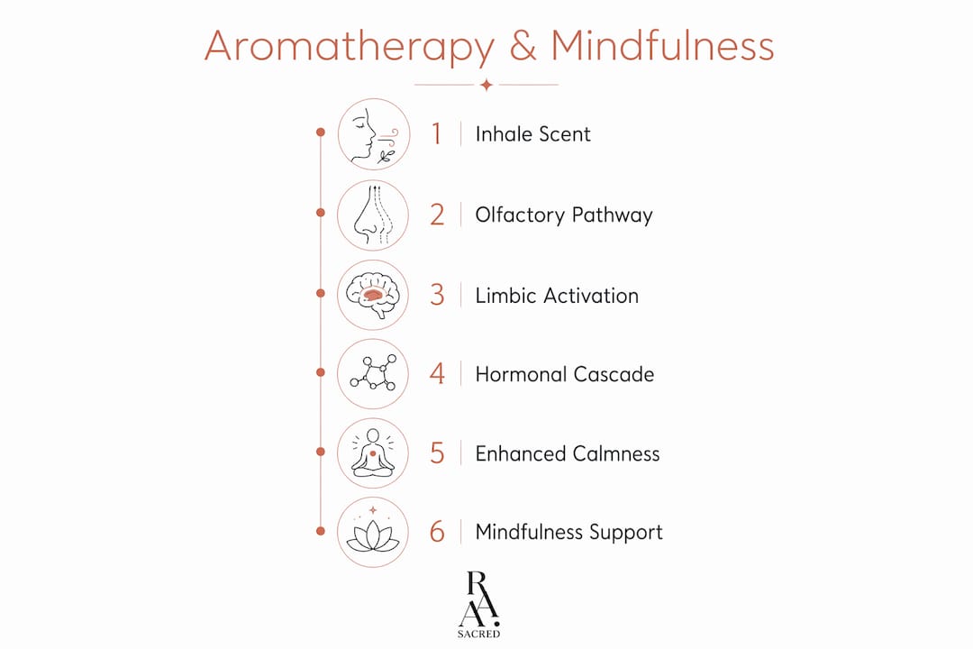 Infographic showing aromatherapy support steps