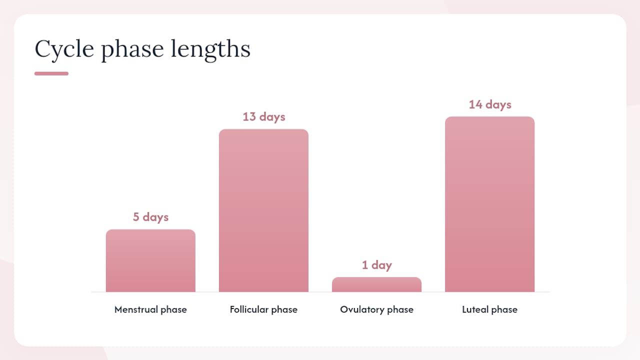 How to adapt your routine to each cycle phase — overview diagram