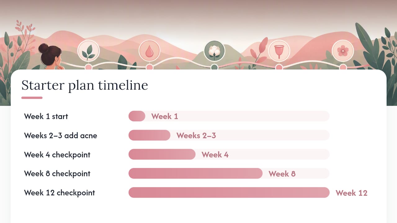 How to Switch Step by Step: A 12-Week Starter Plan — overview diagram