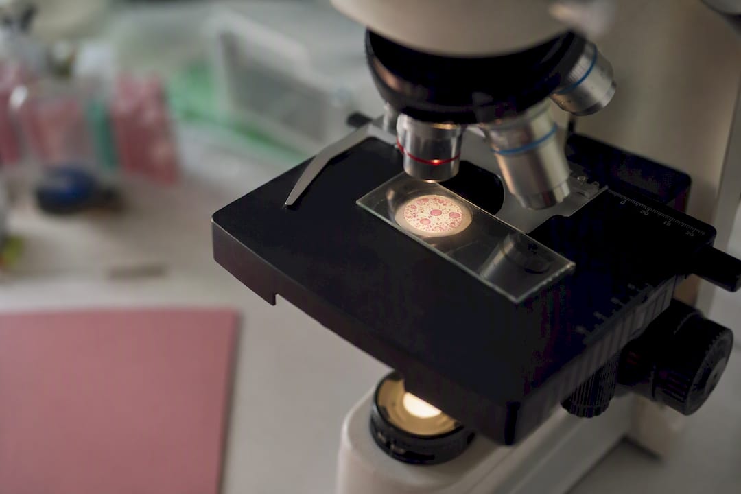 Microscope view of skin cells