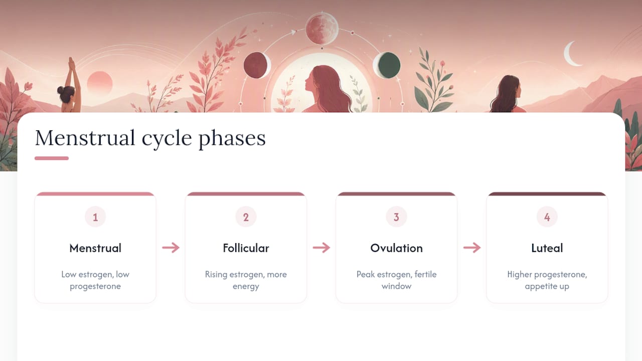 Four phases of the menstrual cycle