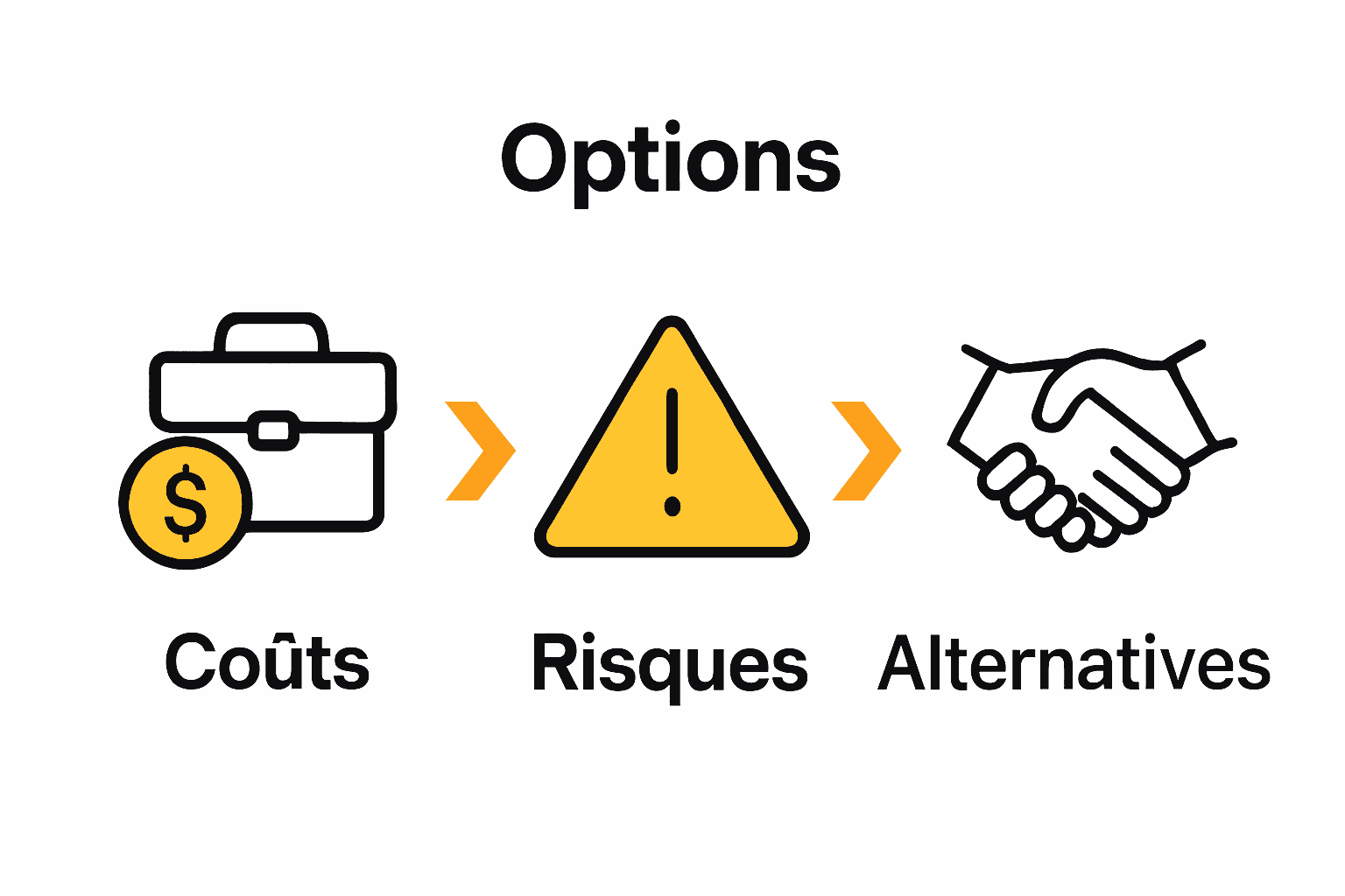 Infographie comparant coûts, risques et alternatives vidéo drone