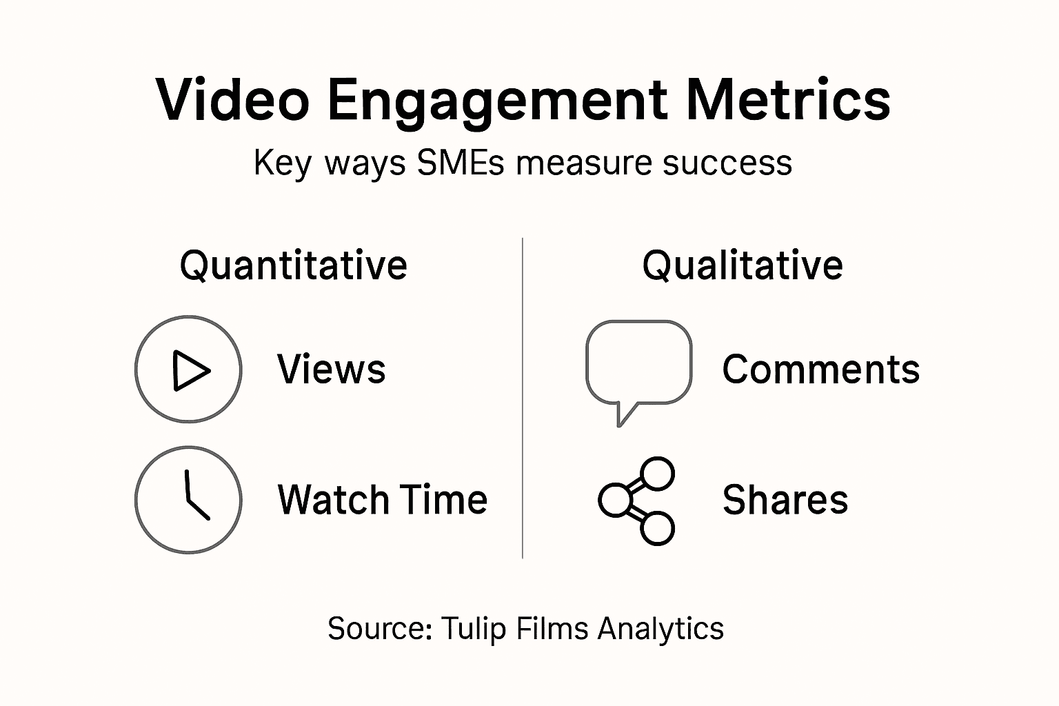 Infographic showing SME video metrics