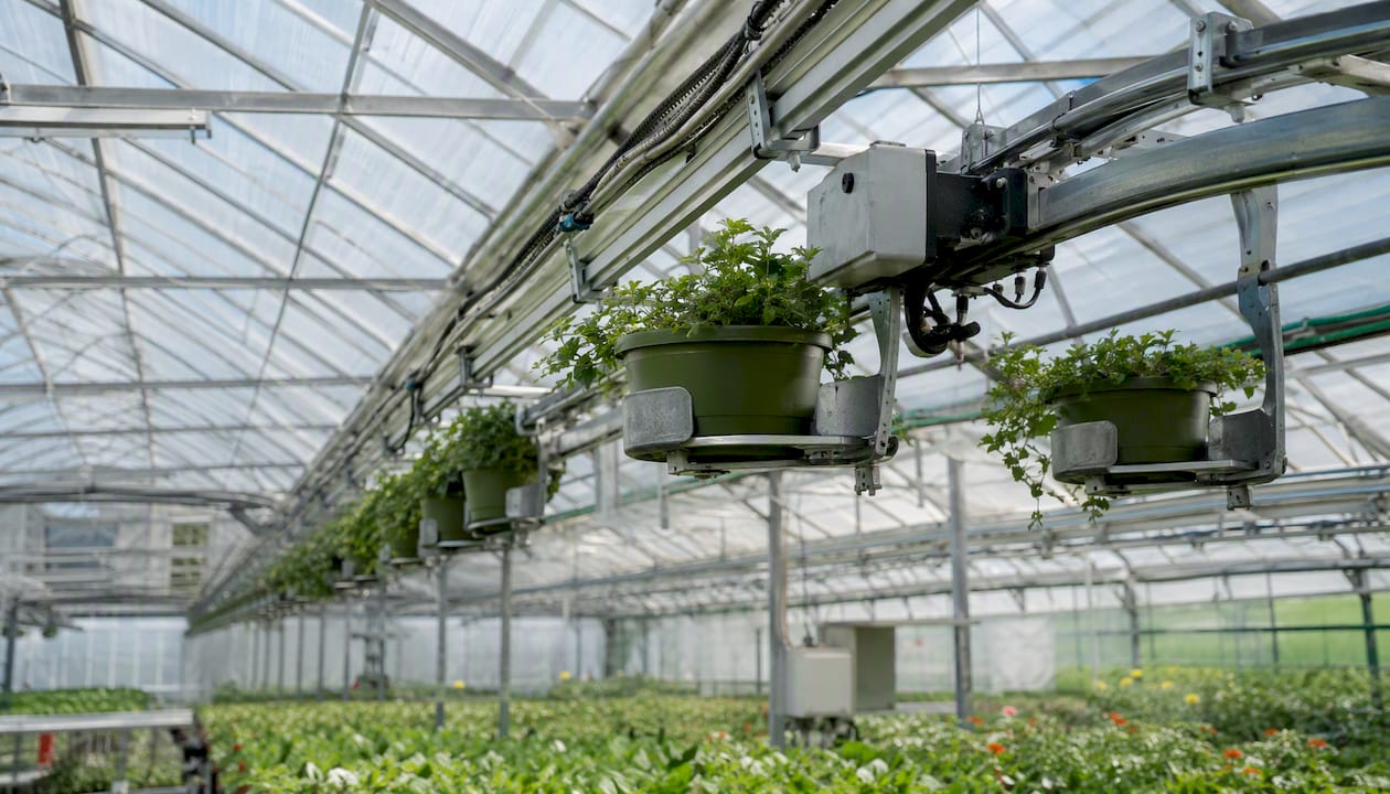Motorized conveyor trolley on gutter rail in greenhouse