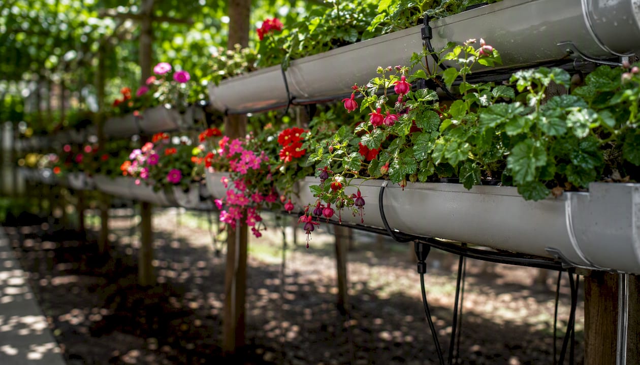 Multi-tier hanging gutters with flowering baskets