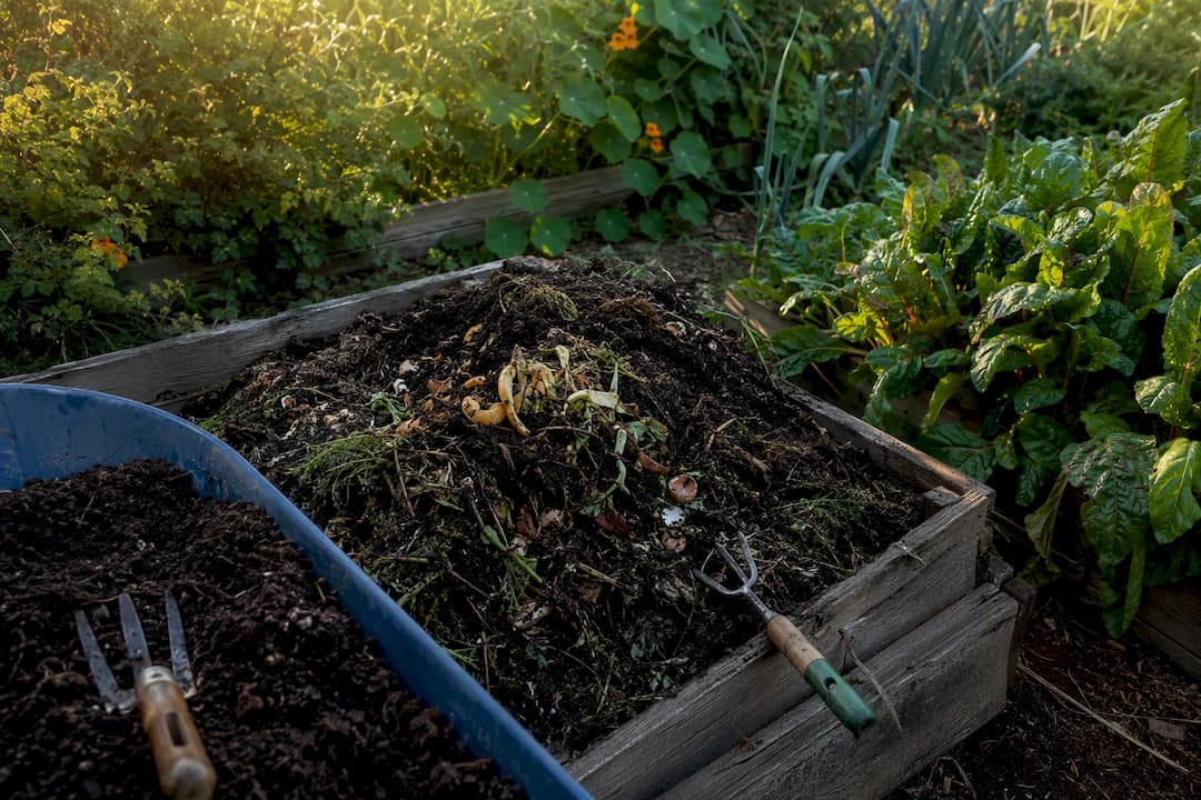 Backyard compost pile with organic matter
