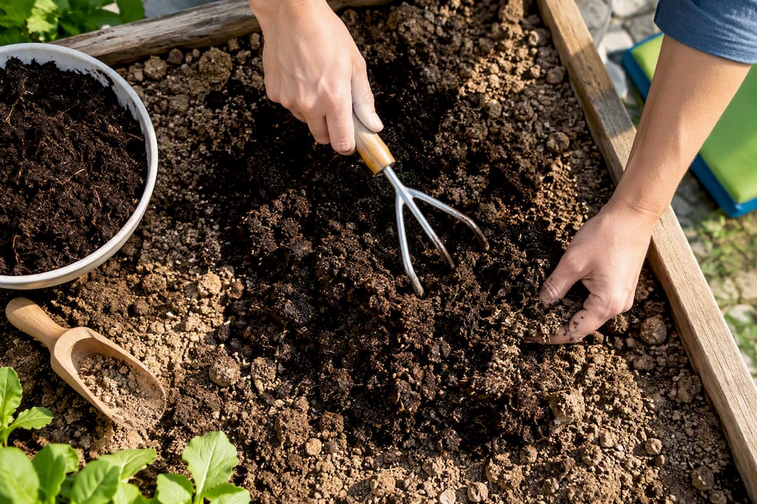 Hands mixing compost into raised bed soil