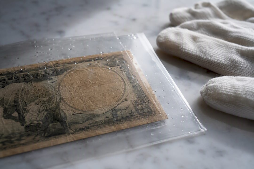 Billete con animal en funda protectora junto a un guante de algodón