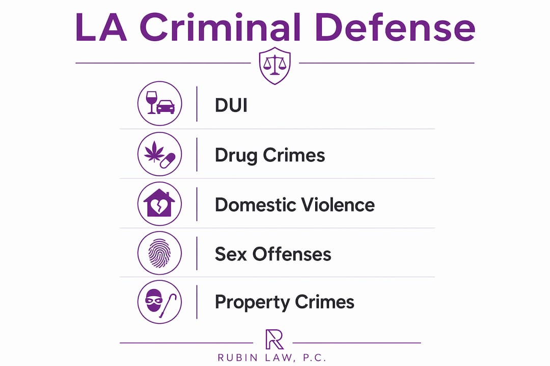 Infographic showing criminal defense practice areas