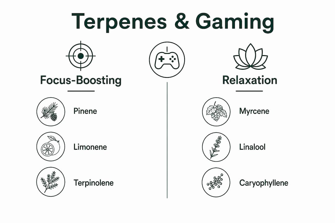 Infographic comparing terpene types for gaming effects