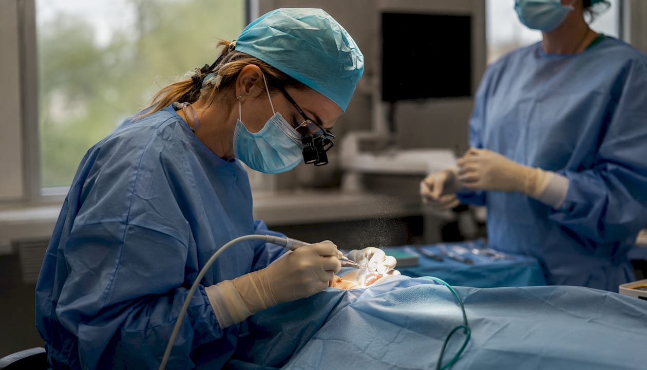 Close-up of osteotomy with piezoelectric instruments
