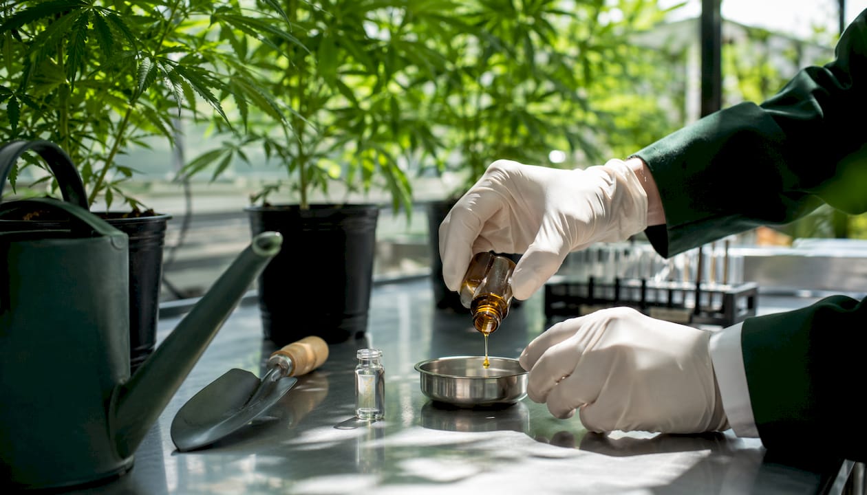 Hands holding cannabis oil vial in scientific lab