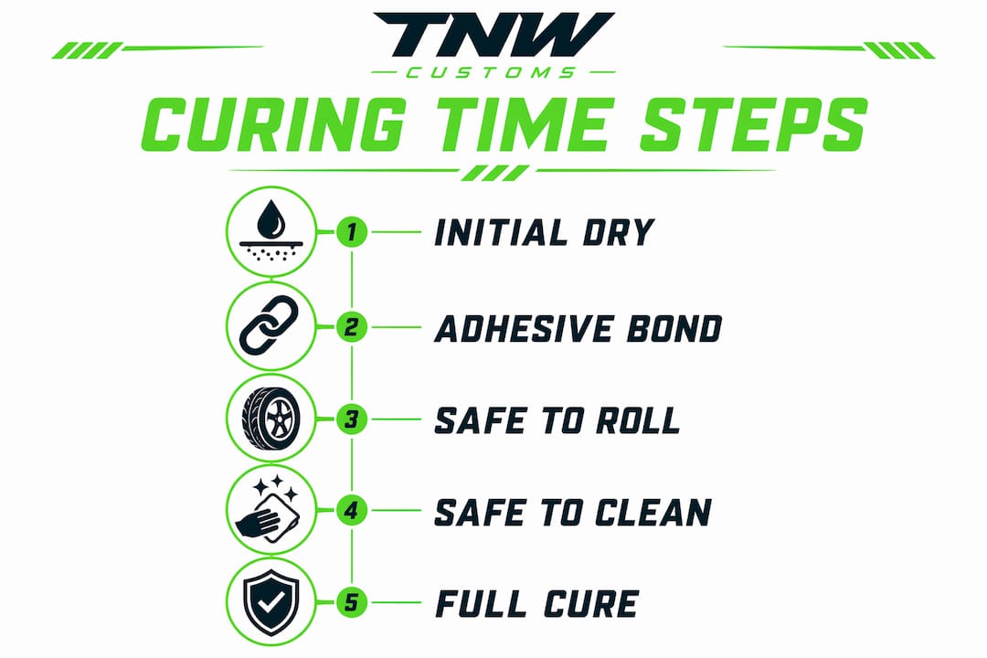 Infographic outlining window tint curing time stages