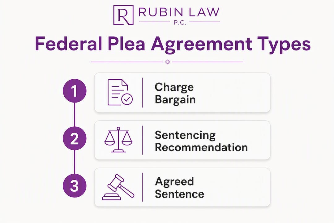Infographic showing types of federal plea agreements