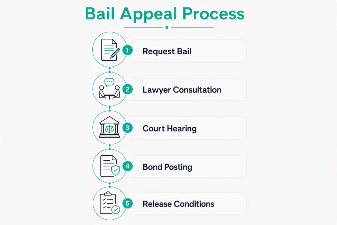 Infographic showing bail appeal process steps