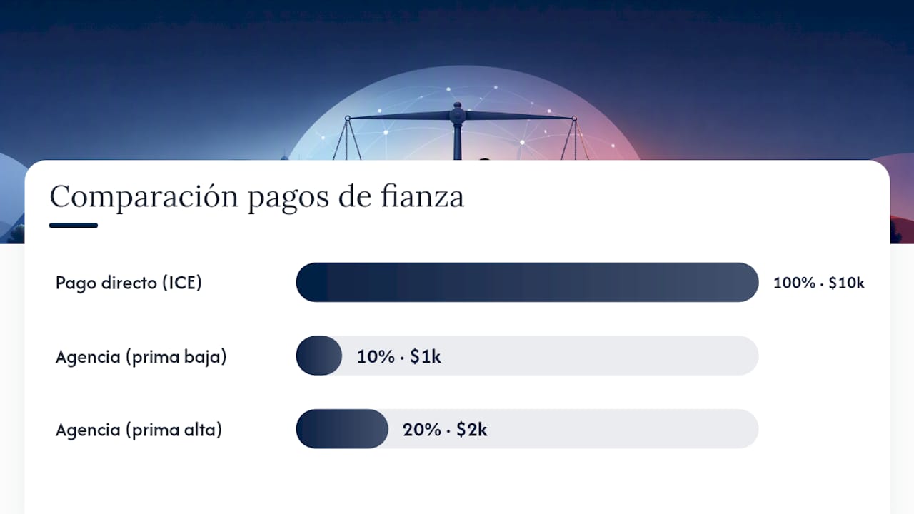 ¿Cómo se paga la fianza de inmigración? Métodos oficiales y agencias — overview diagram