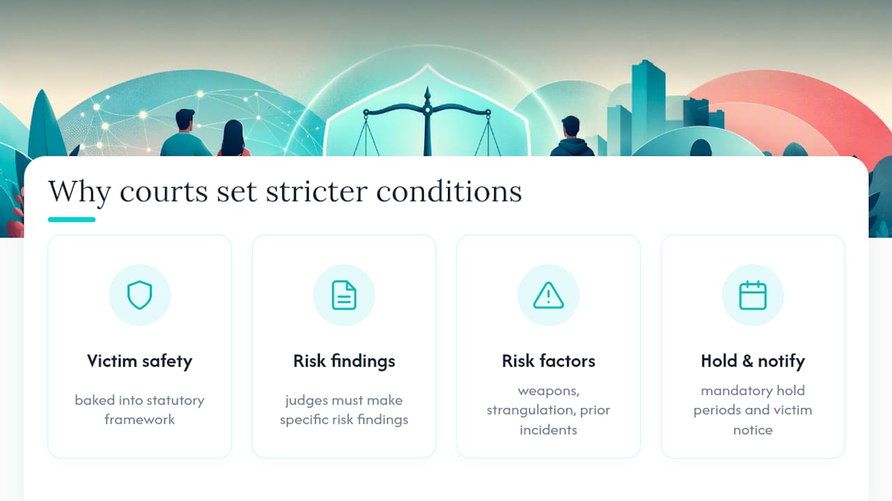 Diagram of factors for stricter bail conditions in domestic cases