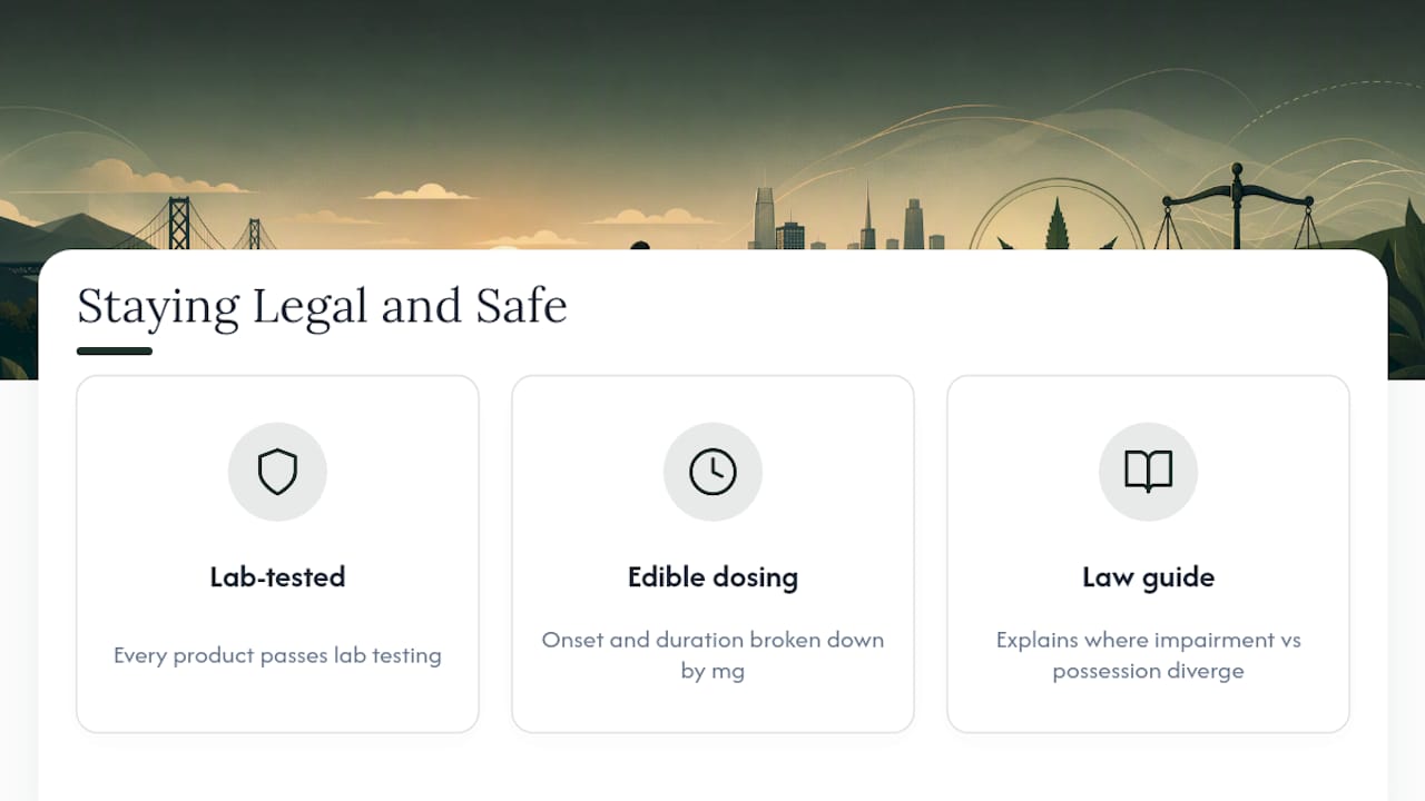 Say Less's Take on Staying Legal and Safe in NYC — overview diagram