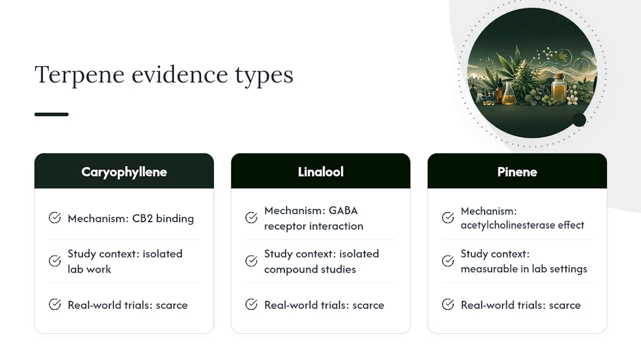Terpene mechanisms and evidence limitations