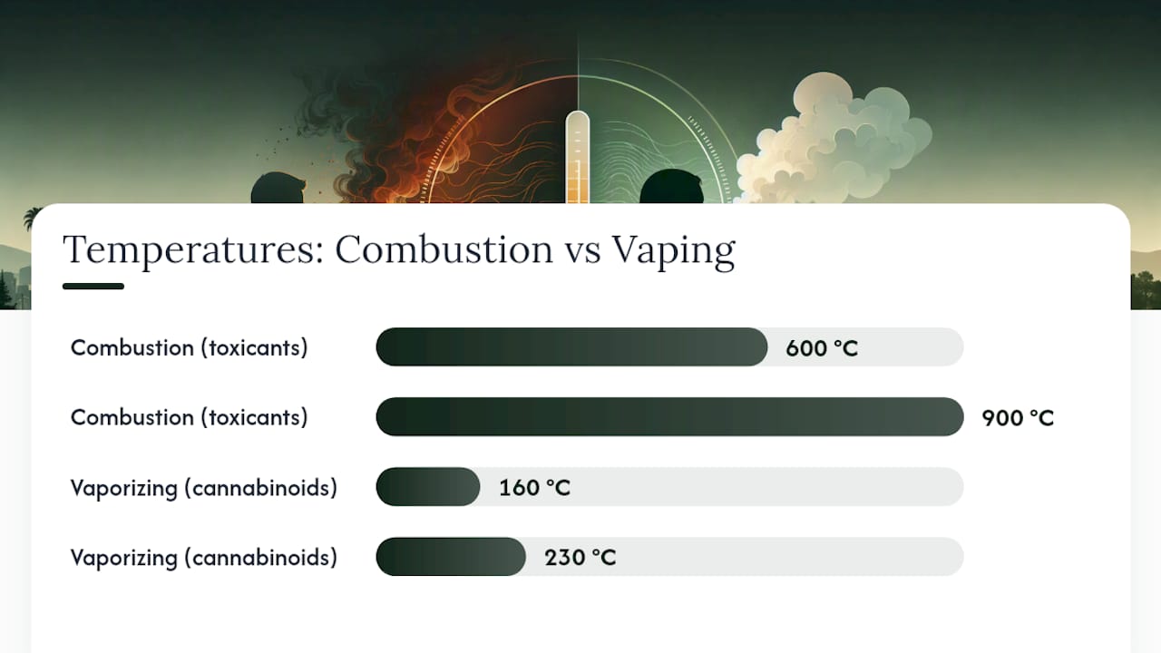 Combustion and vapor temperature comparison