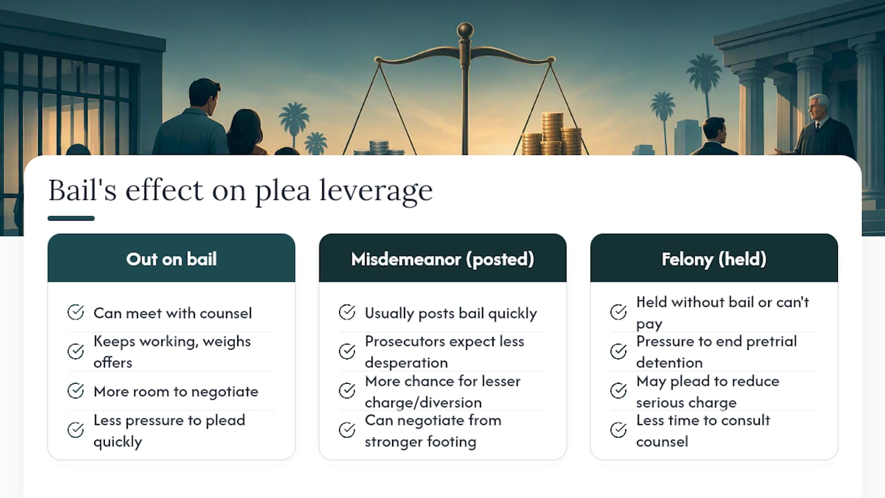 How Does Bail Affect Plea Deals in Felony and Misdemeanor Cases? — overview diagram