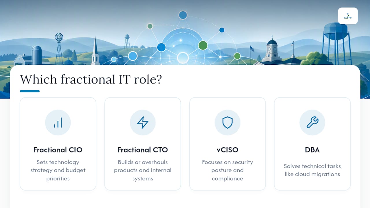 Comparison of four fractional IT roles