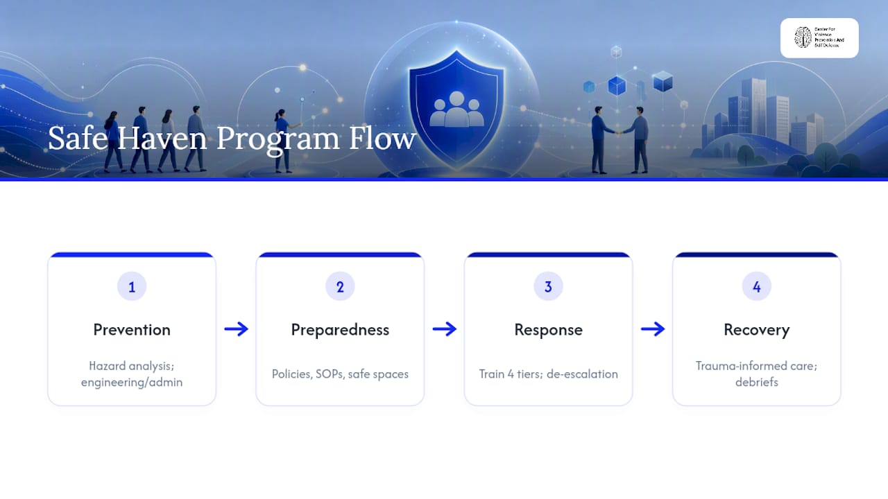 Diagram of safe haven program core components and training tiers
