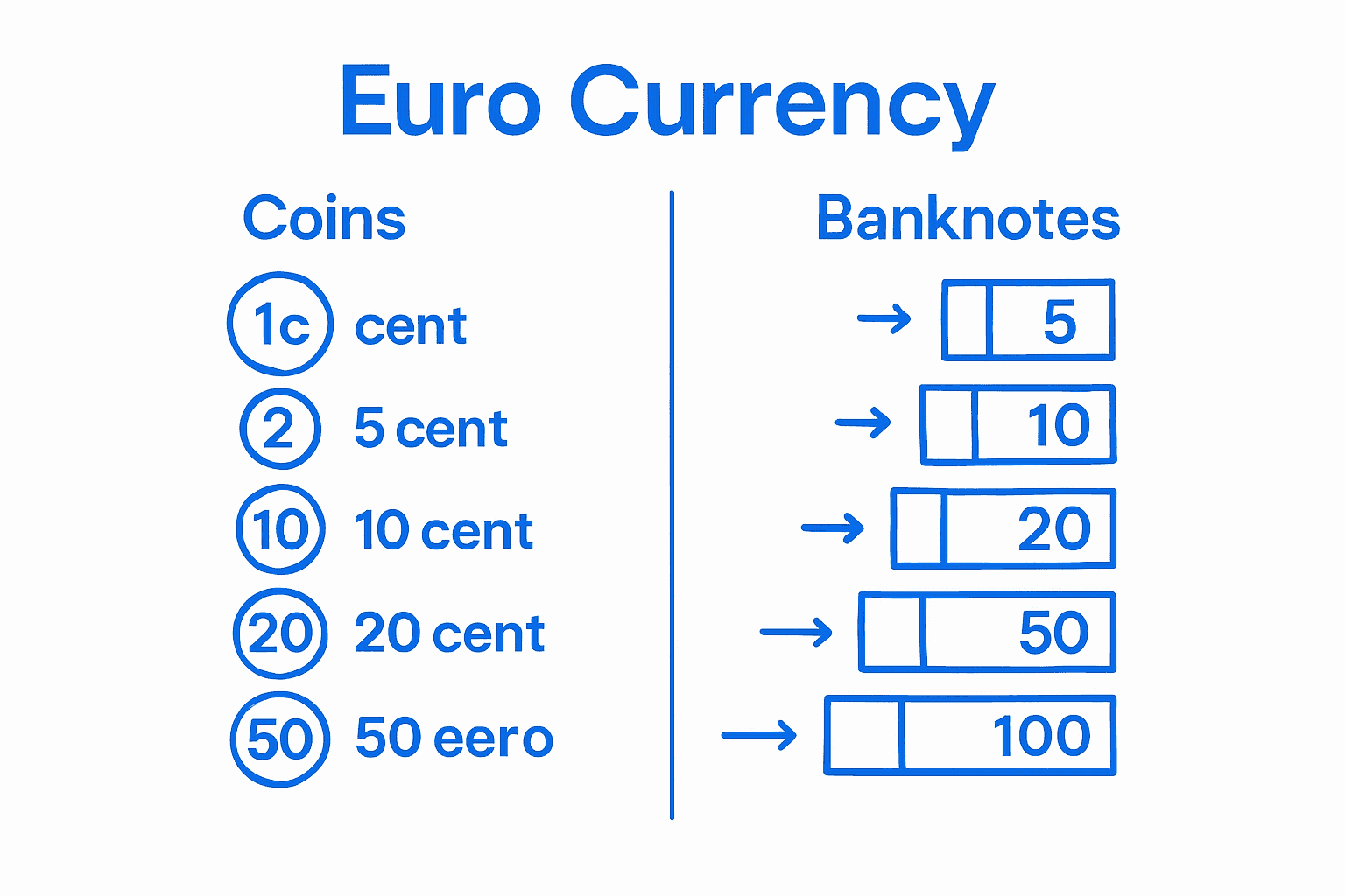 Euro coin and banknote breakdown infographic