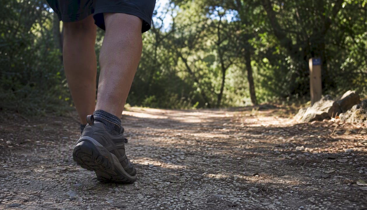 View of shaded forest trail with walking shoes