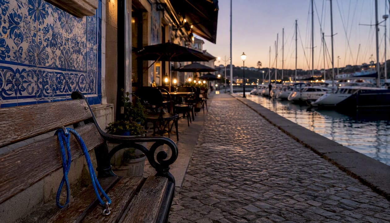 Marina walkway with pet leash near sailing boat docks