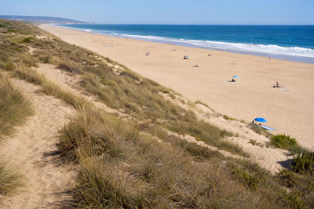 Long sandy beach beside Caparica dunes