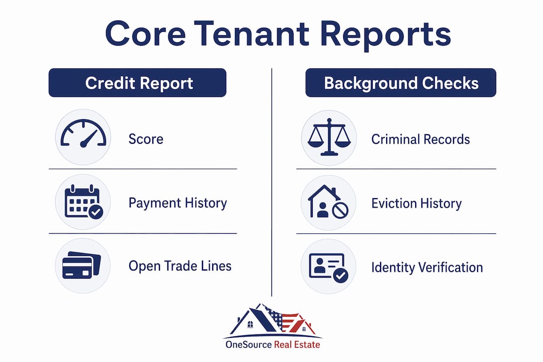 Infographic showing tenant screening report categories