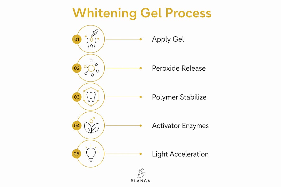 Infographic showing whitening gel process steps