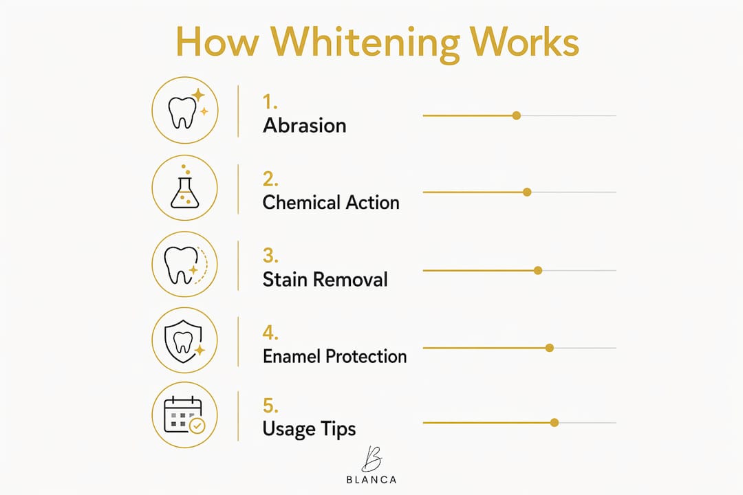 Infographic showing key steps of whitening toothpaste action