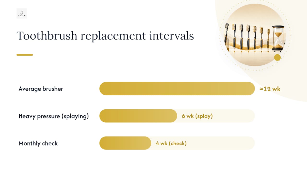 Why brushing pressure changes how often you need to replace a brush — overview diagram